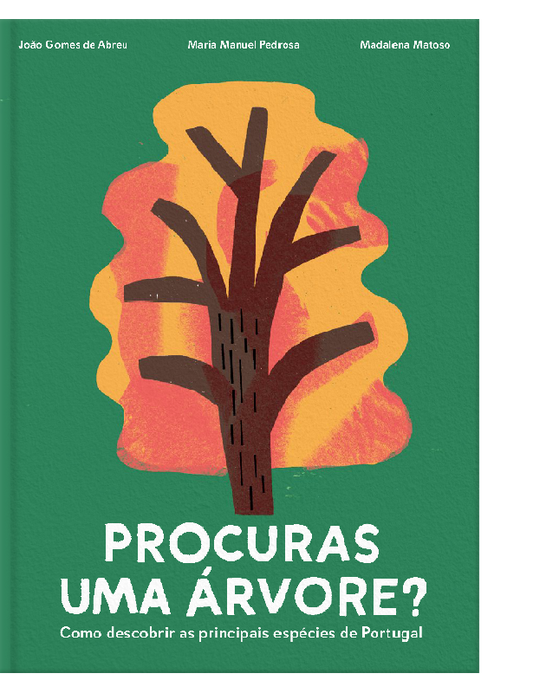 Procuras uma árvore